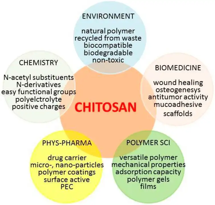 Chitosan powder.webp